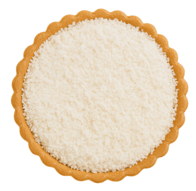 Coconut Tart