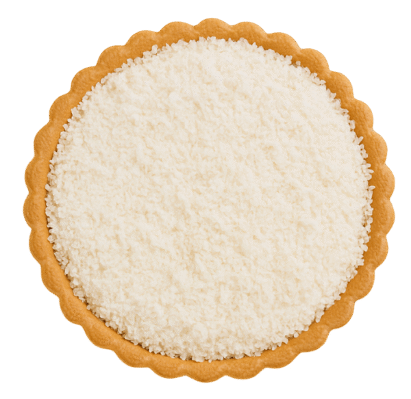 Coconut Tart